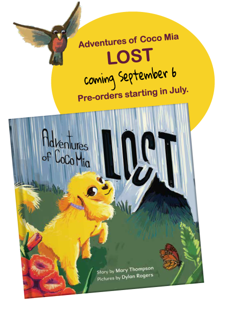 Adventures of coco lost coming September 6 Pre orders starting in July