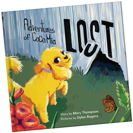 lost lost